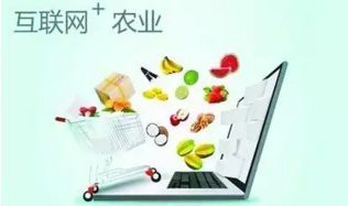 農(nóng)村電商十大發(fā)展趨勢 擁抱變革，賦能鄉(xiāng)村經(jīng)濟(jì)